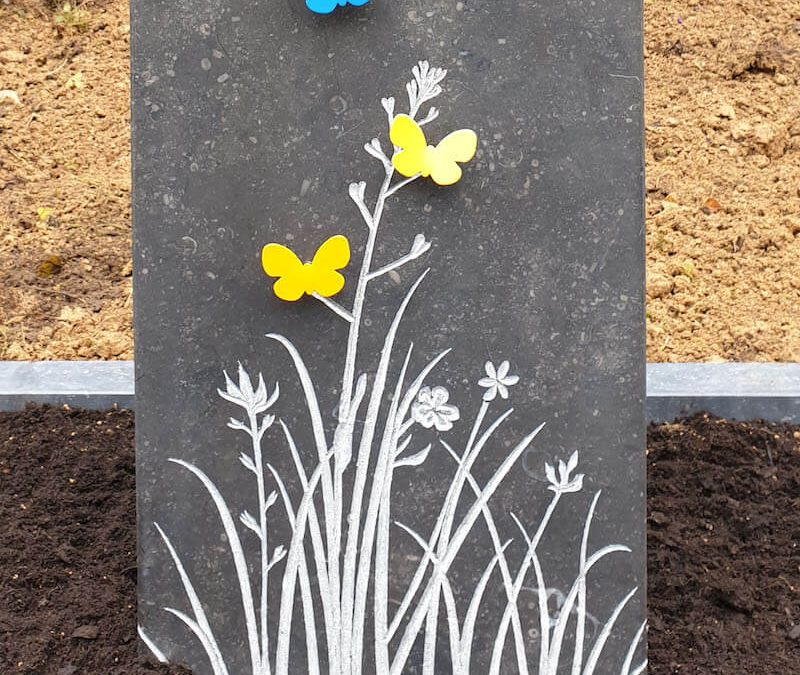 Vlinders in het gras