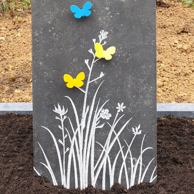 Vlinders in het gras